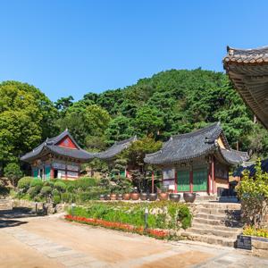 개발현황
